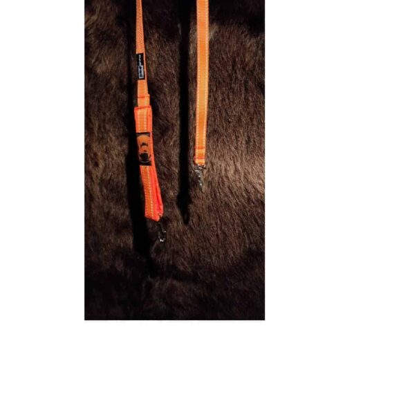Koirantaluttimet ja koiranvaljaat. KarDog Iita talutin, väri oranssi, pituus 140 cm.