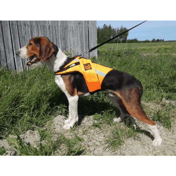 KarDog Jeri, koiran huomioliivit ja kelluttavat GPS huomioliivit.