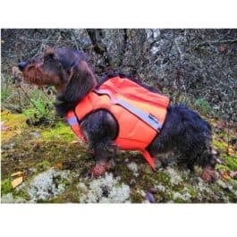 KarDog koiran huomioliivit ja kelluttavat GPS huomioliivit. Saga kelluttava huomioliivi auttaa huomioimaan koiran paremmin esim. vedestä.