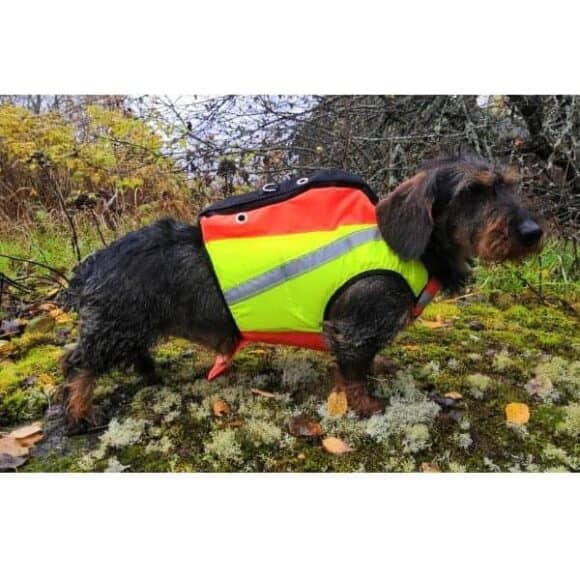 Metsästyskoiratarvikkeet, koiran huomioliivit ja kelluttavat GPS huomioliivit. KarDog Saga GPS kelluttava huomioliivi tuo lisäturvaa metsästyskoiralle.