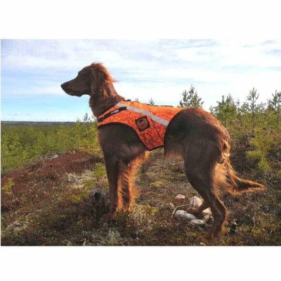 Koiran huomioliivit ja kelluttavat GPS huomioliivit. KarDog Jeri Ricusamo on kelluttava huomioliivi.