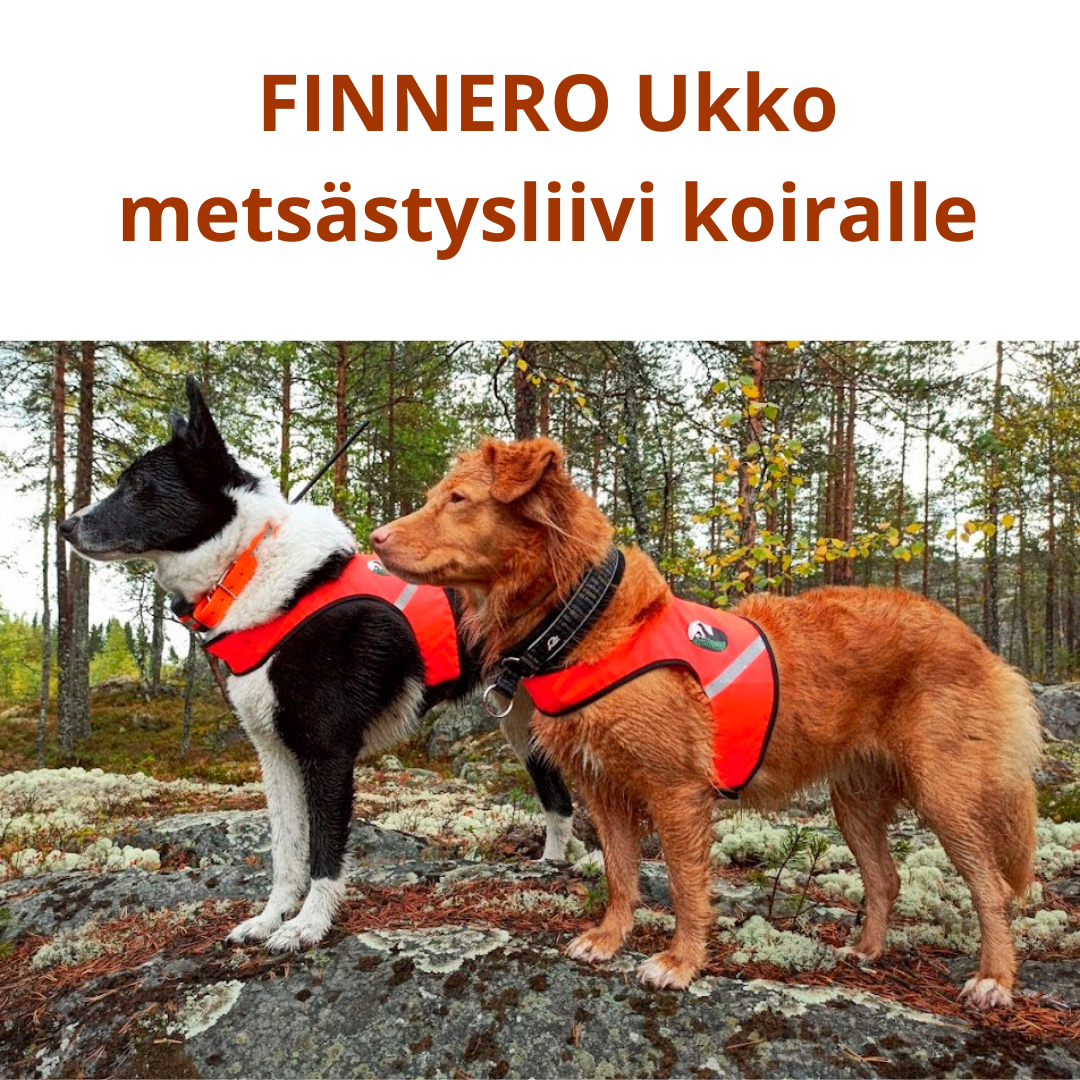 Maastokuosinen riistakamera Uovision 4G LTE 20MP Suomen Erämetsästykseltä.